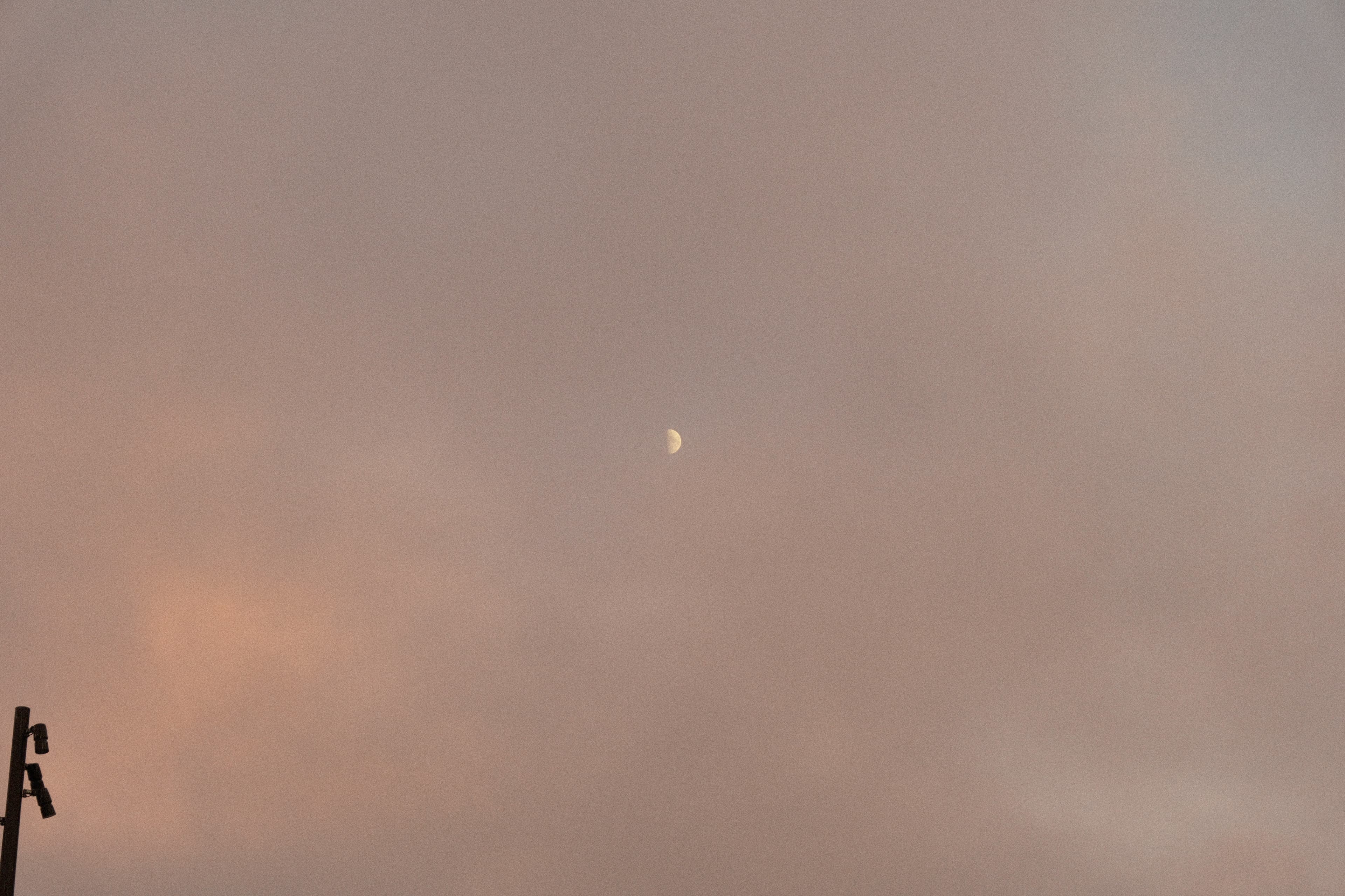 A half moon high in a flat pink and grey sky, with the top of a lamp post at the lower left.