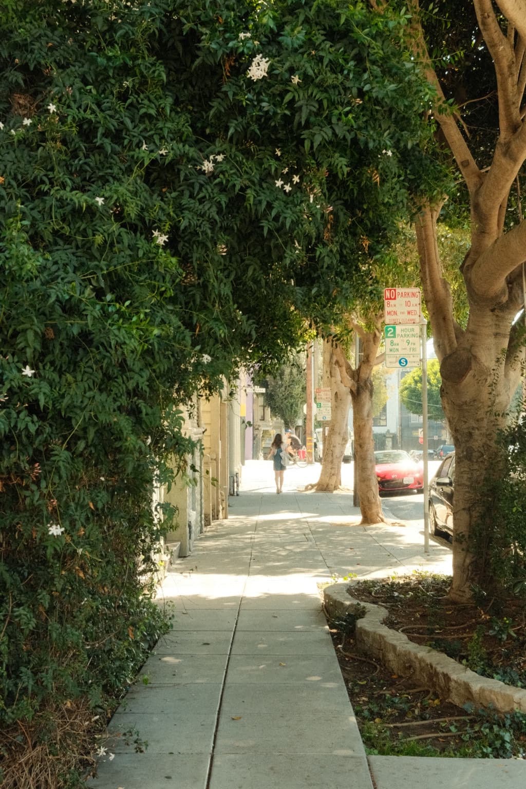 A sunlit sidewalk shaded by dense street trees, with two distant pedestrians and parked cars down the block.